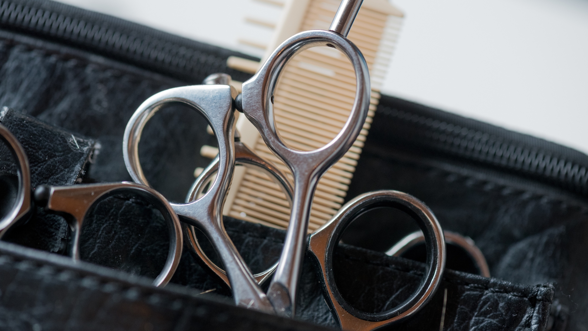 A close up of a pair of scissors in a case